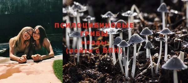 каннабис Протвино
